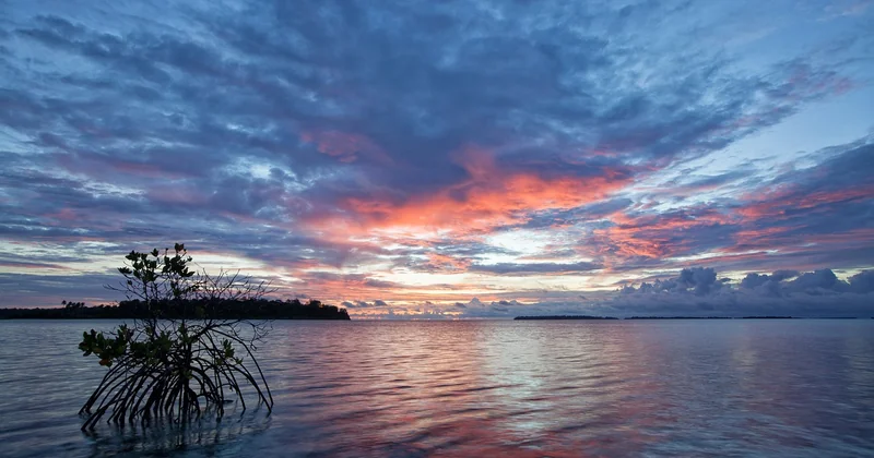 Les îles tropicales à moins de 10 heures de la France (et que personne ne cite)